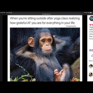 Meet your Posher, Lorraine